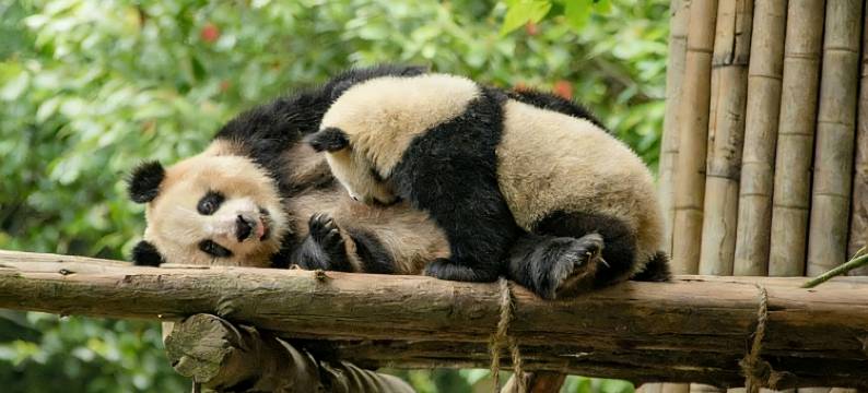 春山小筑私汤温泉民宿(青城山店)图片