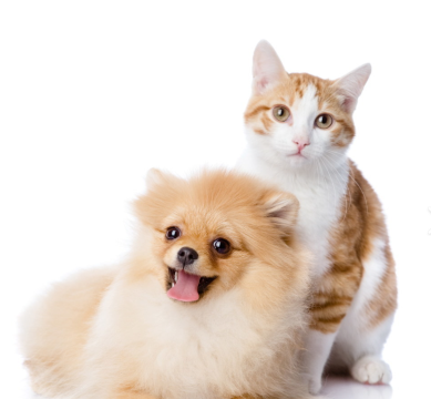 季居酒店(郑州商都路店)图片