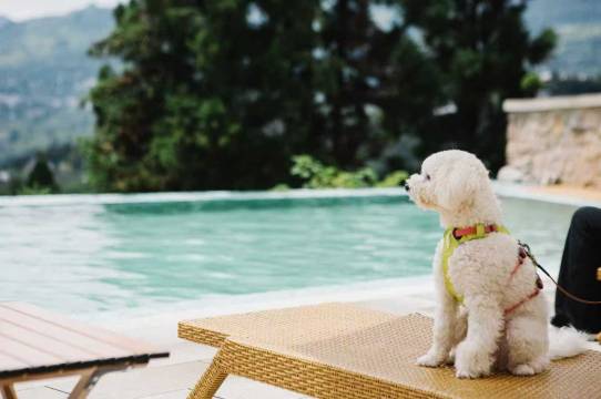 十二墅·望山景观民宿(恩施大峡谷店)图片