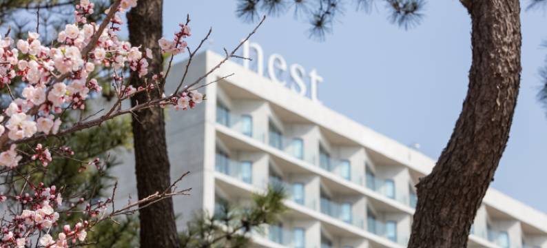 仁川鸟巢酒店(Nest Hotel, a Member of Design Hotels)图片