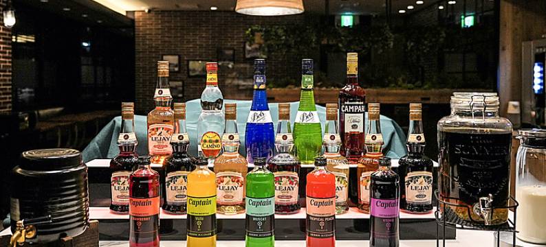 埼玉东口超级酒店高级馆(Super Hotel Premier Saitama Higashiguchi)图片