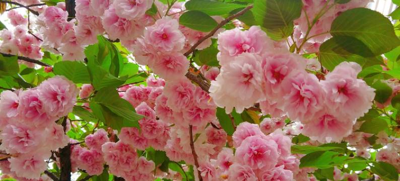 花筑·隐栖智能民宿(十字街洛邑古城地铁站店)图片