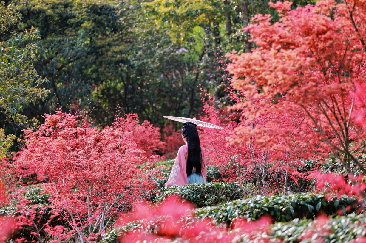 Xinfeng Lingnan maple leaves WorldHotel Overview