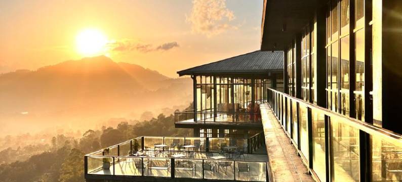 橡光茶语山居(Oak Ray Tea Bush)图片