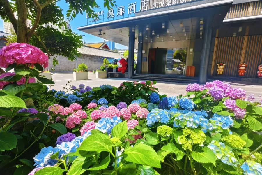 徐州彭城廣場逸扉酒店