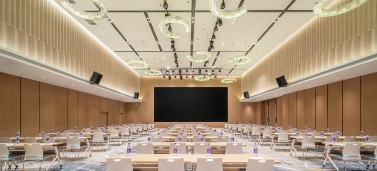 新乡平原示范区智选假日酒店图片