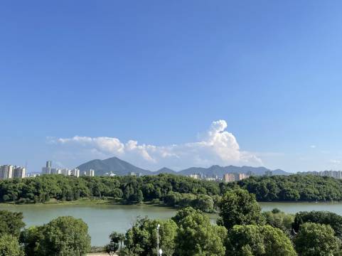 铜陵天井湖凤栖酒店图片