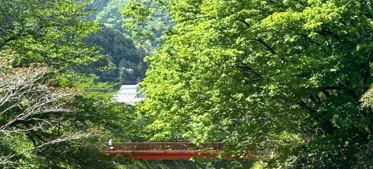 山阴汤村温泉 涌泉之宿 YUAMU(Sanin-Yumuraonsen Yuamu)图片