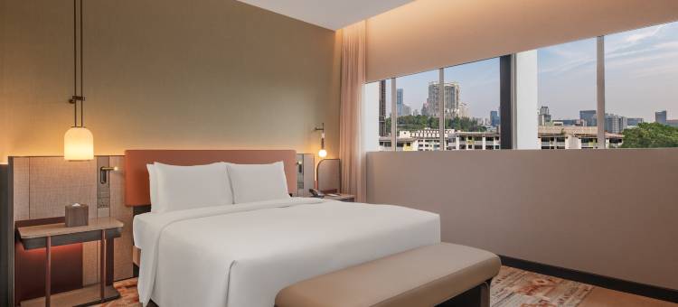 新加坡罗伯逊码头希尔顿逸林酒店(DoubleTree by Hilton Singapore Robertson Quay)图片