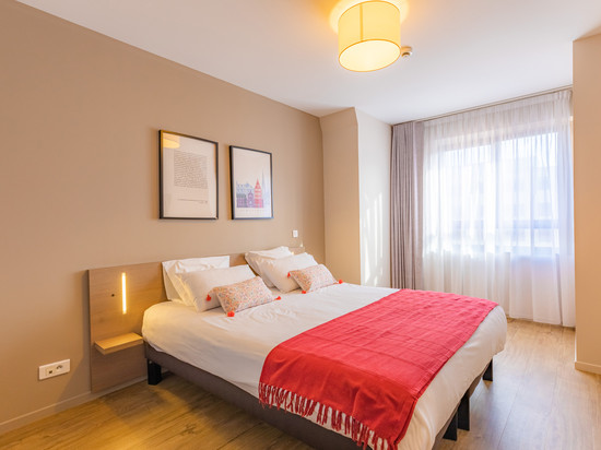 斯特拉斯堡中心舒适城市公寓酒店