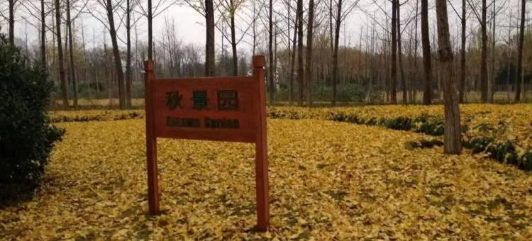 格林豪泰格盟酒店(山东国际会展中心店)图片