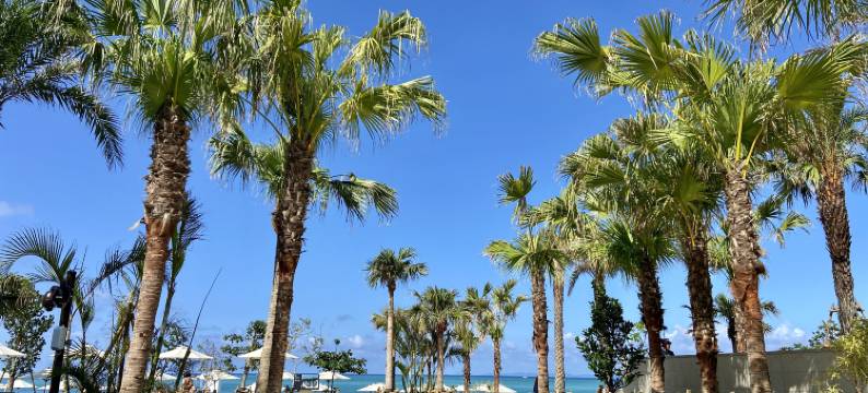 琉球名城海滩度假酒店(Ryukyu Hotel & Resort Nashiro Beach)图片