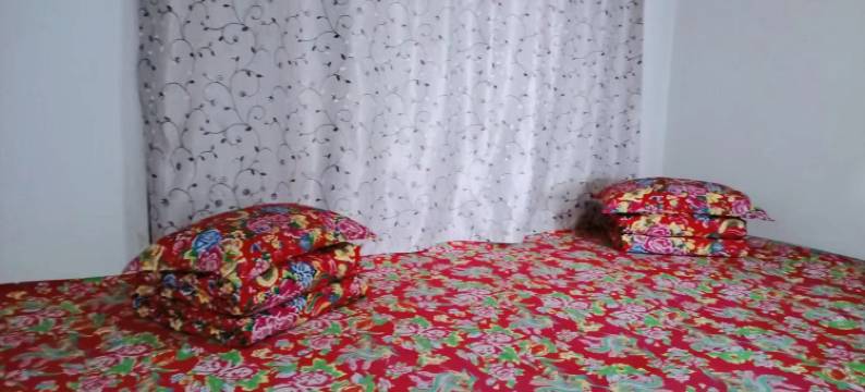 漠河华夏最北村民宿图片