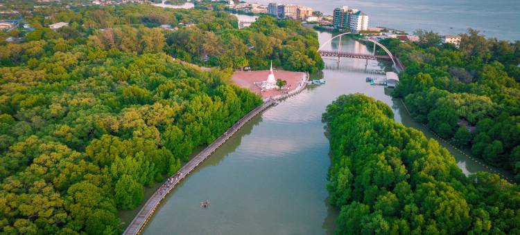 诺富特罗勇星星会议中心酒店(Novotel Rayong Star Convention Centre)图片
