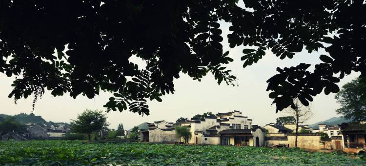 黄山澍德堂图片