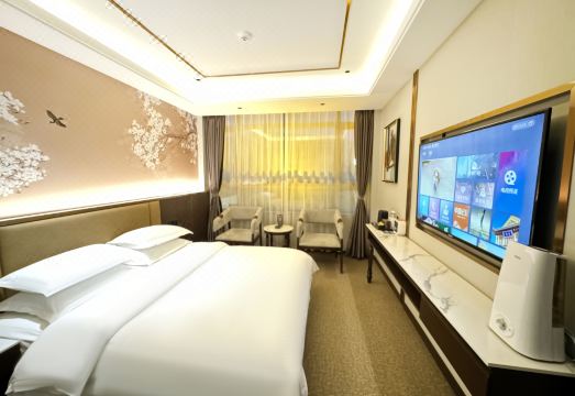 VIP Hotel Hotel Overview