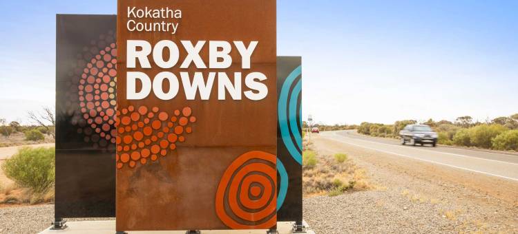 罗克斯比降水区的夜帽(Nightcap at Roxby Downs)图片