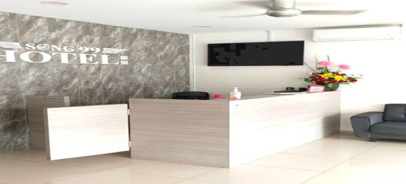 松99酒店(Song 99 Hotel)图片