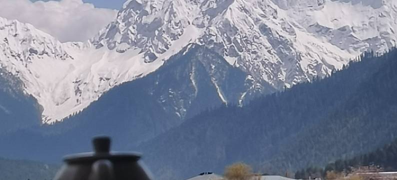 波密嘉恒·冰川主题酒店图片