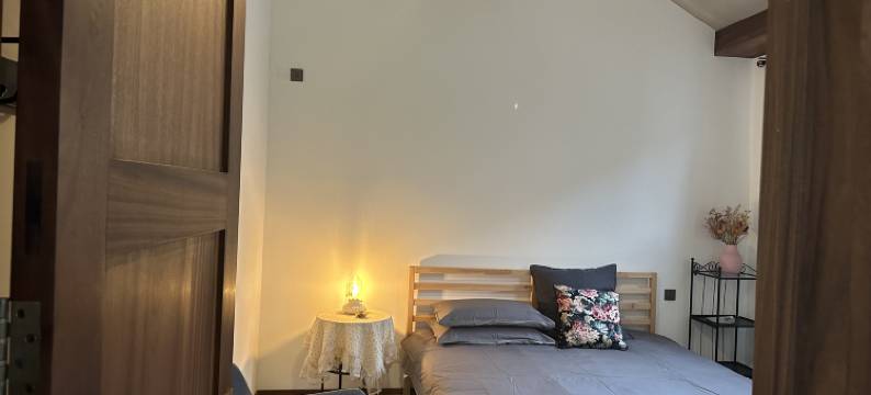 安新舊樹民宿(雄安新区白洋淀店)图片