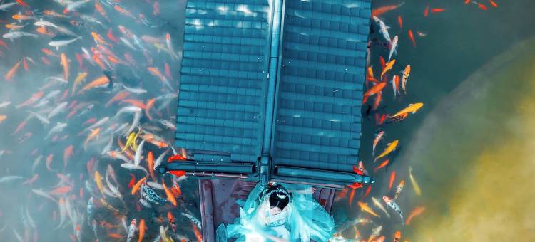 葛仙村洗心院度假别墅酒店图片