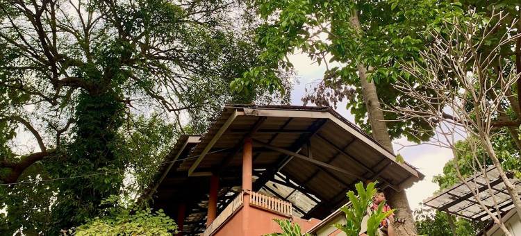 瀑布别墅 - 湄登瀑布别墅(The Cascade - Mae Taeng Waterfall Bungalows)图片