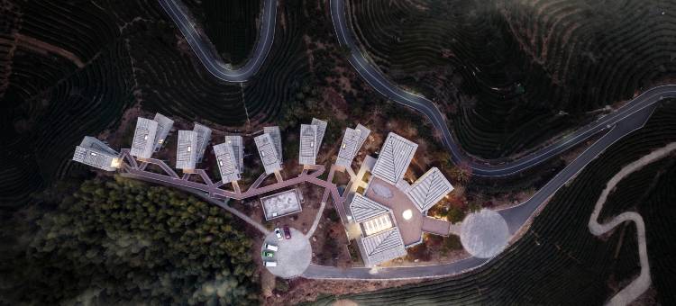 丽水遂昌乐领万亩茶海庄园图片