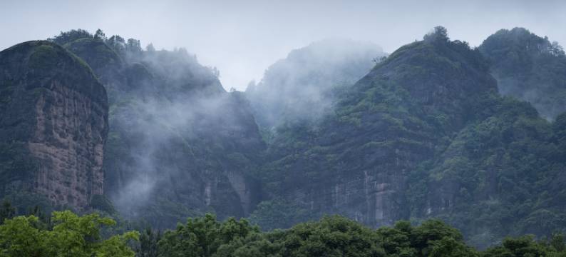 龙虎山花语美墅民宿图片