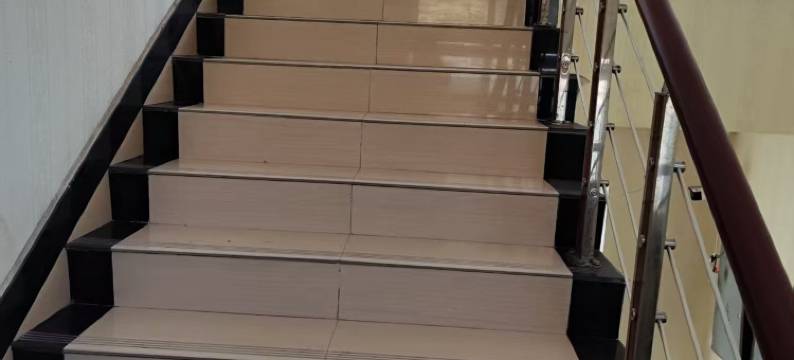 波密一锅鲜铁锅炖民宿图片