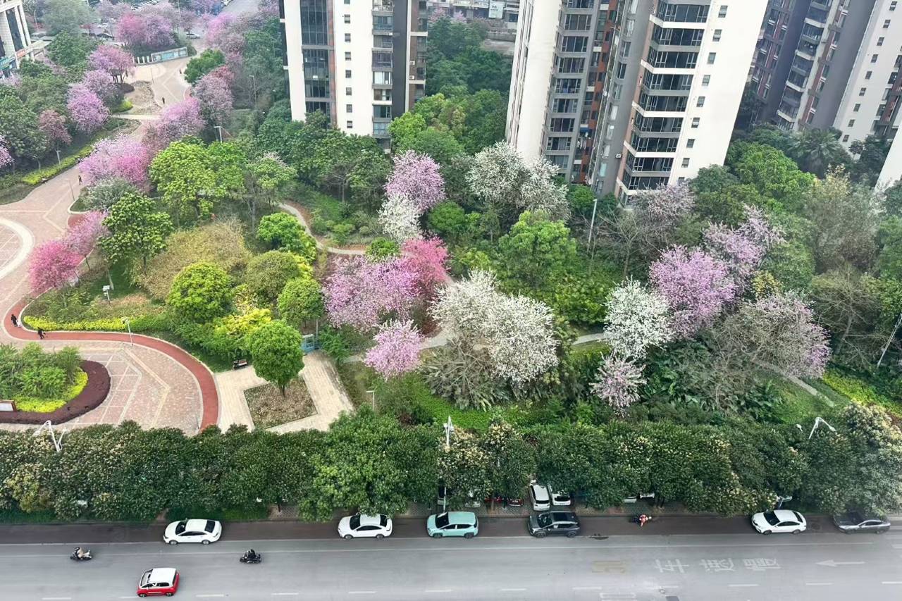 UEASY优逸酒店(柳州窑埠古镇万象城店)图片