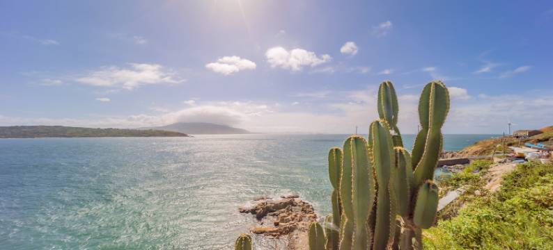 恋君岚·渔夫民宿图片