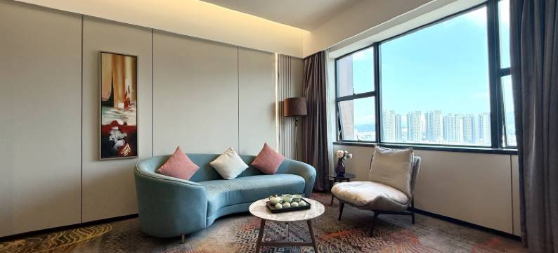 深圳坪山高铁站乐安居国际酒店(锦龙地铁站店)图片