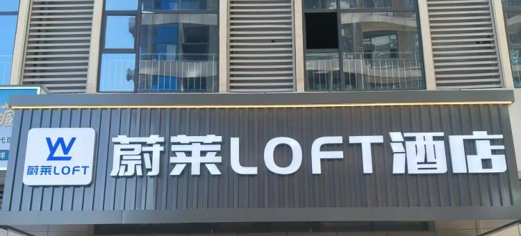 蔚莱LOFT酒店(周口高铁东站店)图片