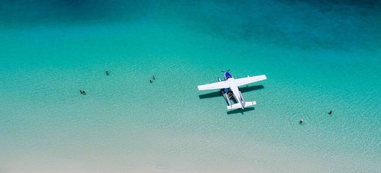 汉密尔顿岛海滨俱乐部(Beach Club)图片