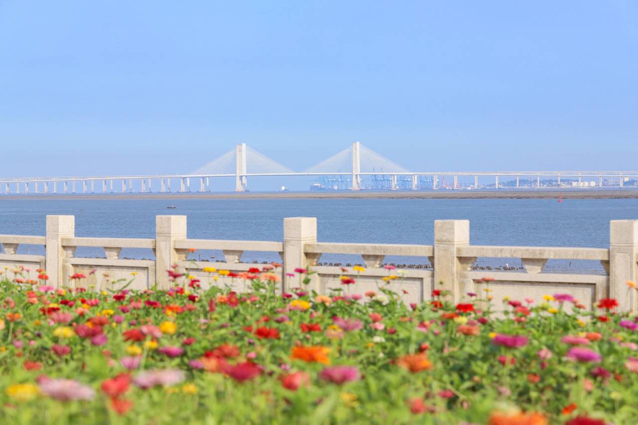 泉州东海悦华酒店(蟳埔村店)图片