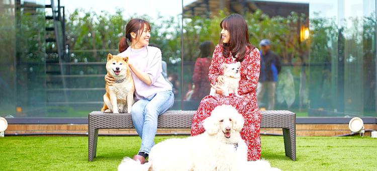 利夫马克斯度假酒店-伊豆高原露台和水疗中心店(LiVEMAX RESORT IZUKOGEN Terrace & Spa)图片