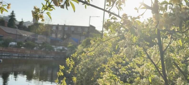 蒙城漆园国际大酒店图片