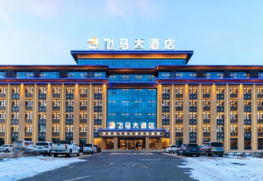飞马大酒店（昭苏天马国际旅游文化广场店）外景图
