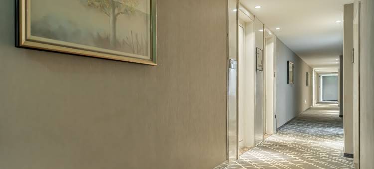 礼白酒店(内江店)图片