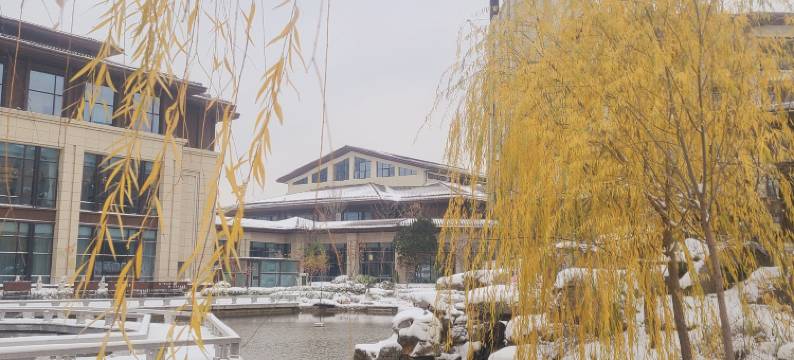 濮阳阿尔卡迪亚酒店(西湖公园店)图片