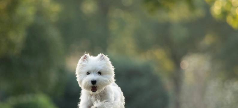 安吉桃源里酒店图片