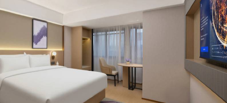 麗枫酒店(西安大都荟延平门地铁站店)图片