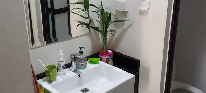 阿罗哈旅馆1号(Aloha Guest House 1)图片