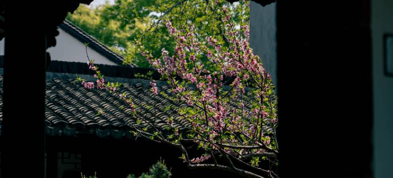 盐官潮乐之城灯影客栈图片