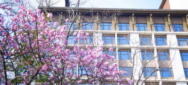 合肥融创永乐半山酒店图片