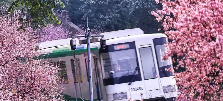 汉庭酒店(重庆李子坝牛角沱地铁站店)图片