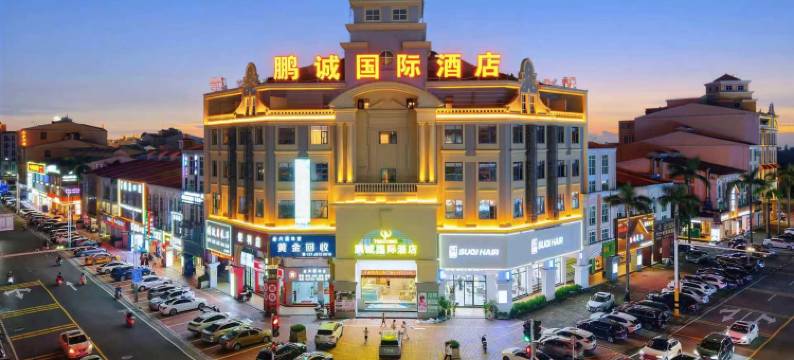 中山鹏诚国际酒店(中山温泉度假区店)图片