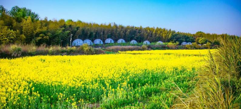 半岛计划SoulH图片