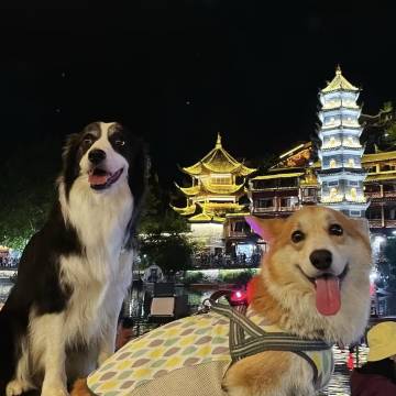 岸芷汀兰庭院江景民宿(凤凰古城沱江店)图片