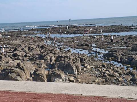 大连金石滩锚地广场海景亚朵酒店图片